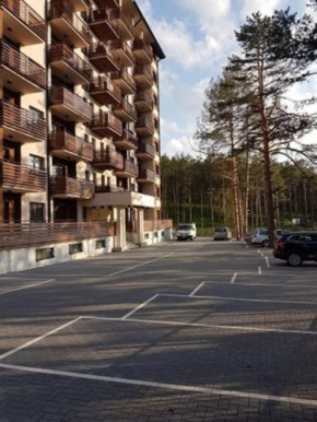 Apartman S 11 Zlatibor